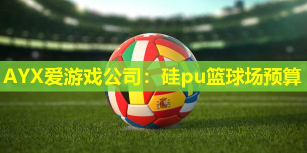 AYX爱游戏公司：硅pu篮球场预算
