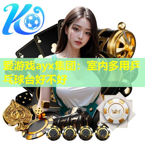 爱游戏ayx集团：室内多用乒乓球台好不好