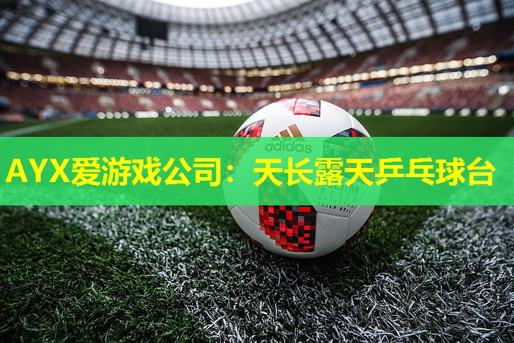 AYX爱游戏公司：天长露天乒乓球台