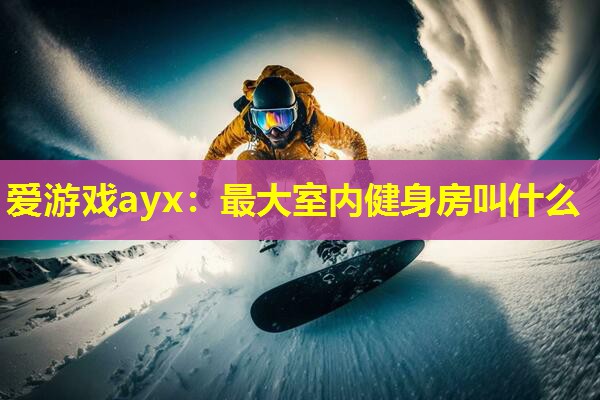 爱游戏ayx：最大室内健身房叫什么