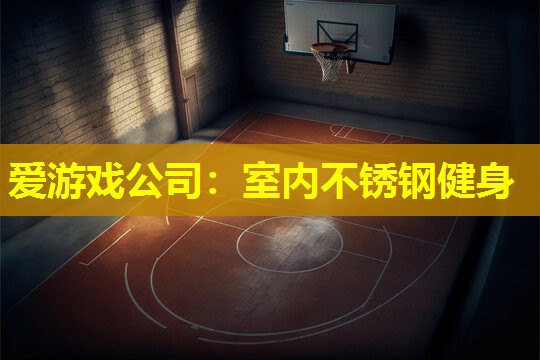 爱游戏公司：室内不锈钢健身