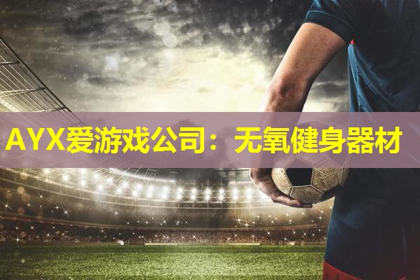 AYX爱游戏公司：无氧健身器材