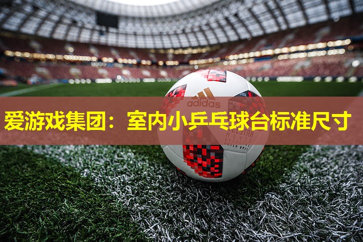 爱游戏集团：室内小乒乓球台标准尺寸