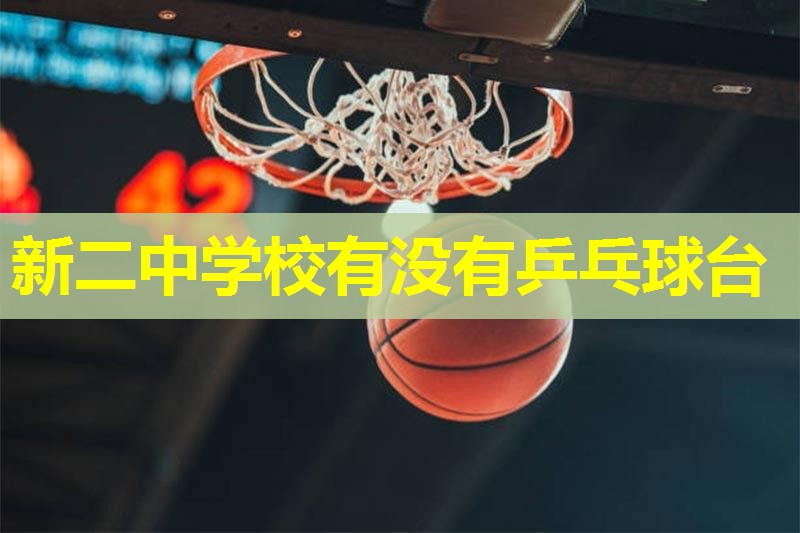 新二中学校有没有乒乓球台