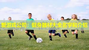 爱游戏公司：健身器材大全名字和介绍