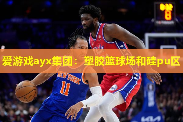 爱游戏ayx集团：塑胶篮球场和硅pu区