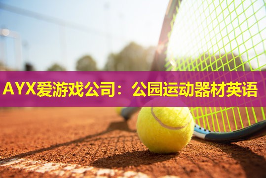 AYX爱游戏公司：公园运动器材英语