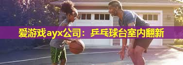 爱游戏ayx公司：乒乓球台室内翻新