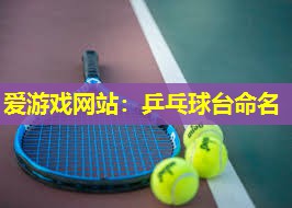 爱游戏网站：乒乓球台命名