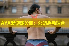 AYX爱游戏公司：公明乒乓球台