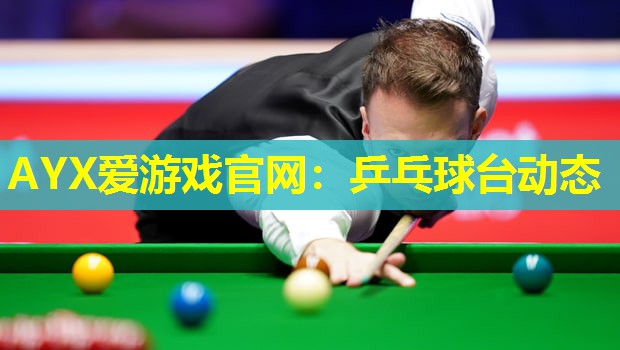 AYX爱游戏官网：乒乓球台动态