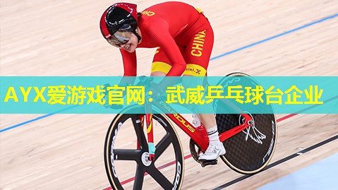 AYX爱游戏官网：武威乒乓球台企业