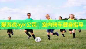 爱游戏ayx公司：室内骑车健身指导