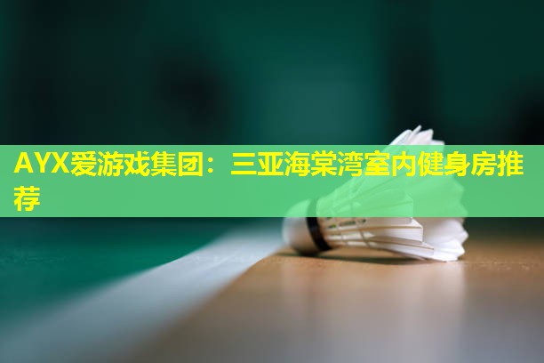 AYX爱游戏集团：三亚海棠湾室内健身房推荐