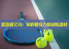 爱游戏公司：家庭健身力量训练器材