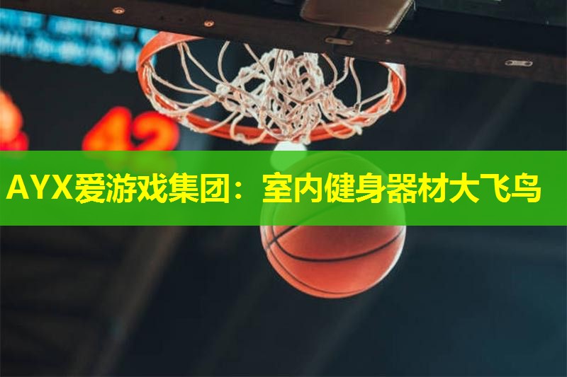 AYX爱游戏集团：室内健身器材大飞鸟