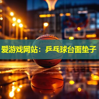 爱游戏网站：乒乓球台面垫子