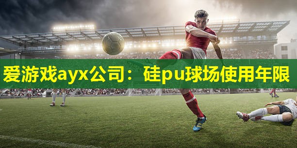 爱游戏ayx公司：硅pu球场使用年限