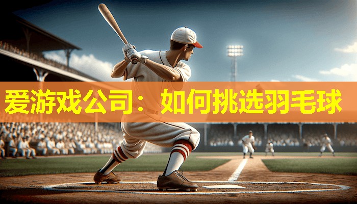 爱游戏公司：如何挑选羽毛球