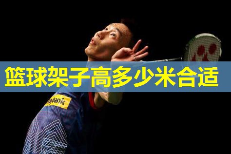 篮球架子高多少米合适