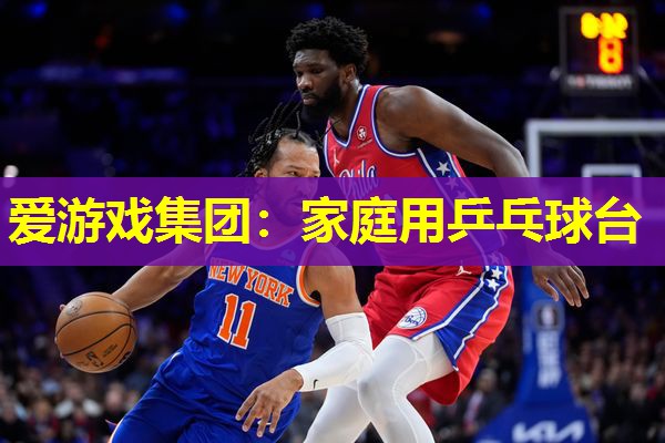 爱游戏集团：家庭用乒乓球台