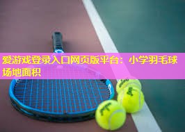 爱游戏登录入口网页版平台：小学羽毛球场地面积