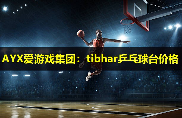 AYX爱游戏集团：tibhar乒乓球台价格