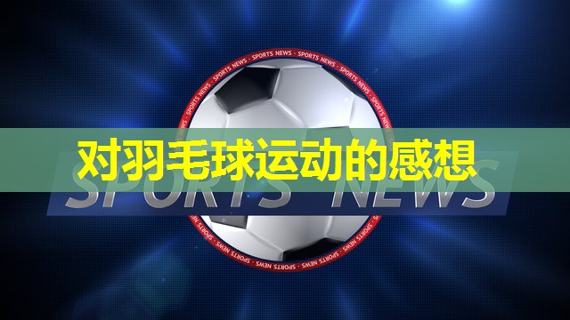 对羽毛球运动的感想