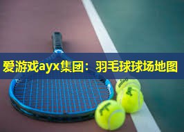 爱游戏ayx集团：羽毛球球场地图