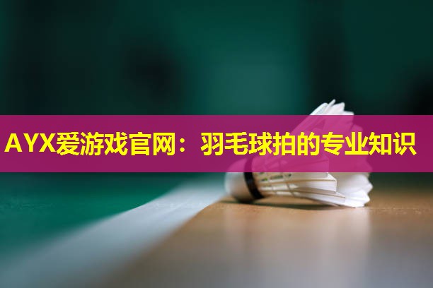 AYX爱游戏官网：羽毛球拍的专业知识