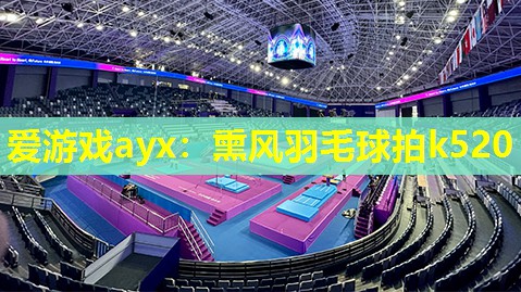 爱游戏ayx：熏风羽毛球拍k520