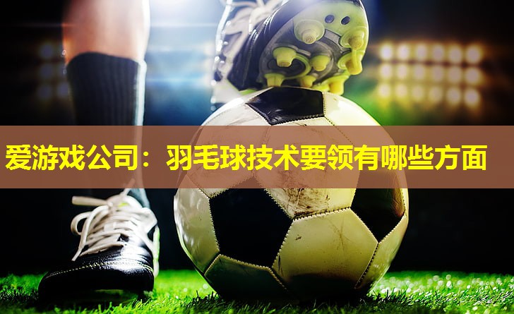 爱游戏公司：羽毛球技术要领有哪些方面