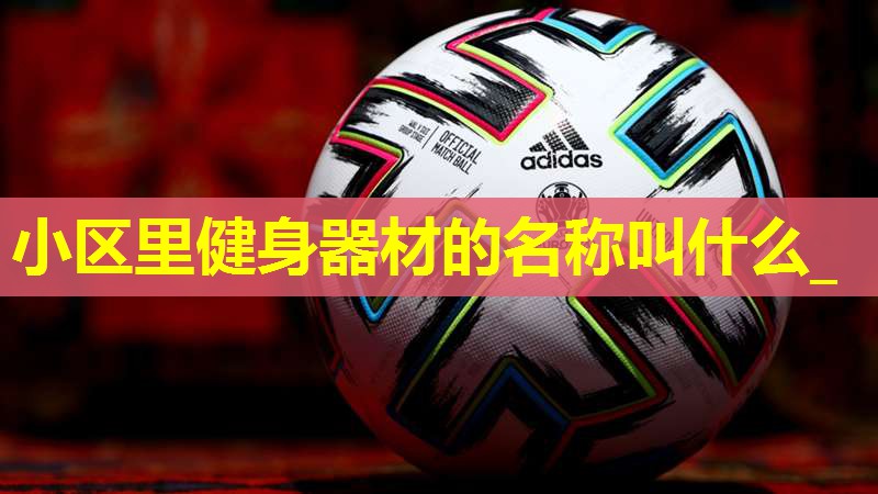 小区里健身器材的名称叫什么_
