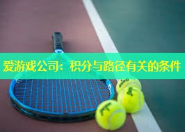 爱游戏公司：积分与路径有关的条件