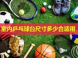 室内乒乓球台尺寸多少合适用