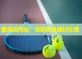 爱游戏网站：汤阴体育器材在哪