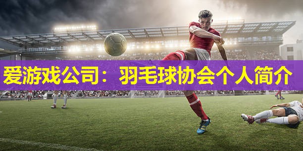 爱游戏公司：羽毛球协会个人简介