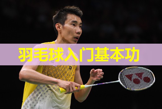 羽毛球入门基本功