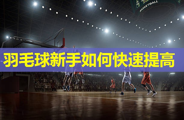 羽毛球新手如何快速提高