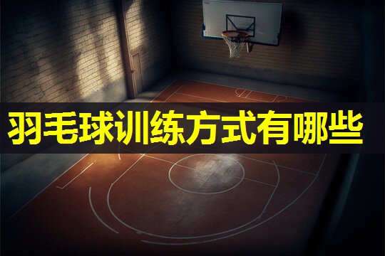 羽毛球训练方式有哪些