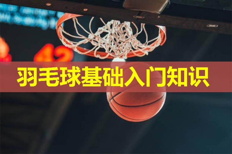 羽毛球基础入门知识