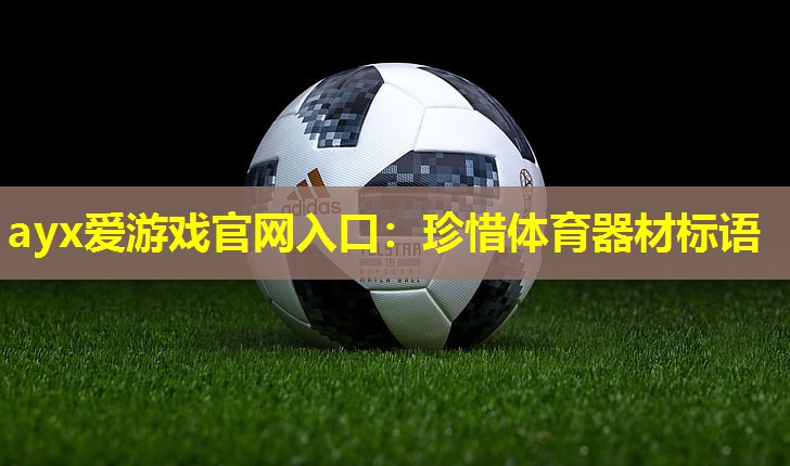 ayx爱游戏官网入口：珍惜体育器材标语