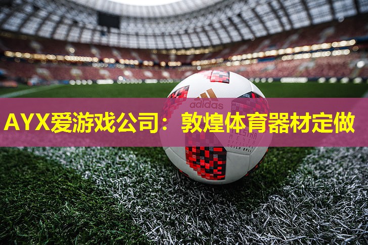 AYX爱游戏公司：敦煌体育器材定做