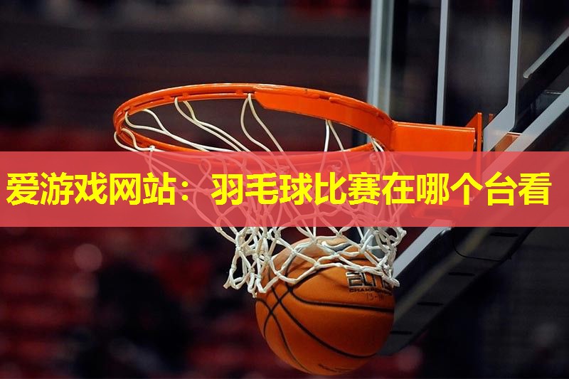 爱游戏网站：羽毛球比赛在哪个台看