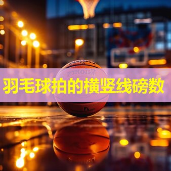 羽毛球拍的横竖线磅数