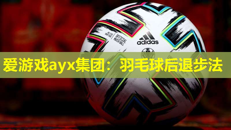 爱游戏ayx集团：羽毛球后退步法