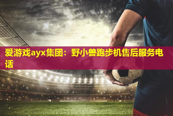 爱游戏ayx集团：野小兽跑步机售后服务电话