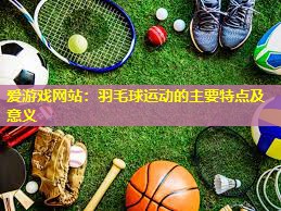 爱游戏网站：羽毛球运动的主要特点及意义