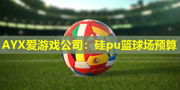 硅pu篮球场预算 硅pu篮球场预算