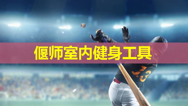 偃师室内健身工具